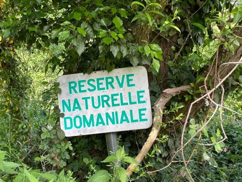 La Vallee Seneffe المظهر الخارجي الصورة